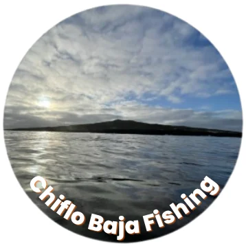 Chiflo Flores logo